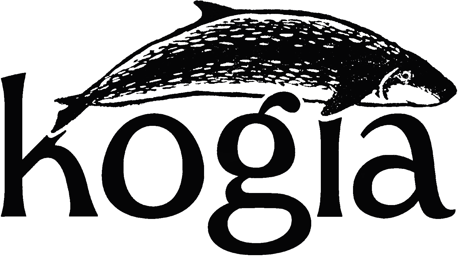 Kogia Logo